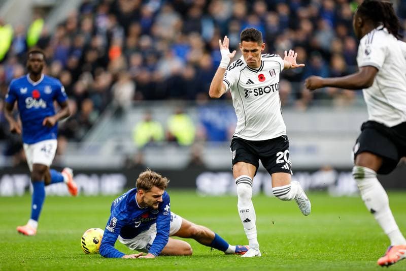 Football. Premier League. Everton - Fulham. 08.11.2025