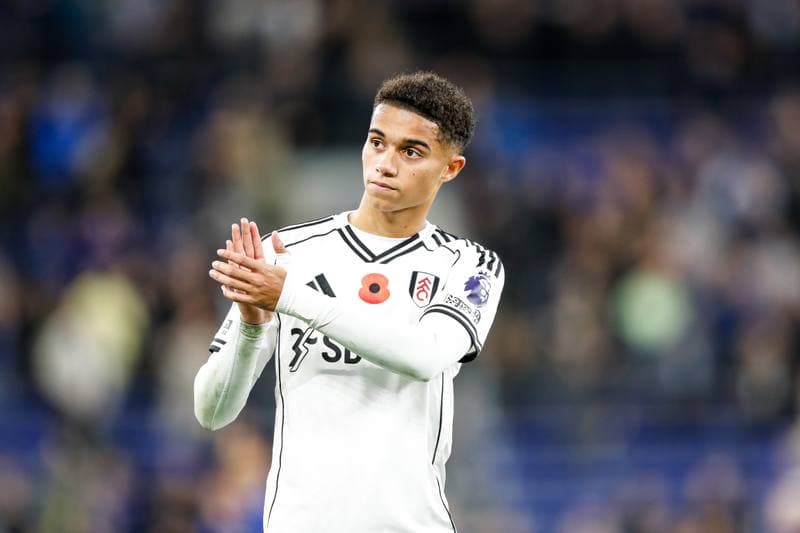 Football. Premier League. Everton - Fulham. 08.11.2025