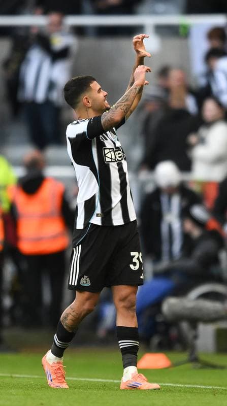 Football. Premier League. Newcastle United - Fulham. 25.10.2025