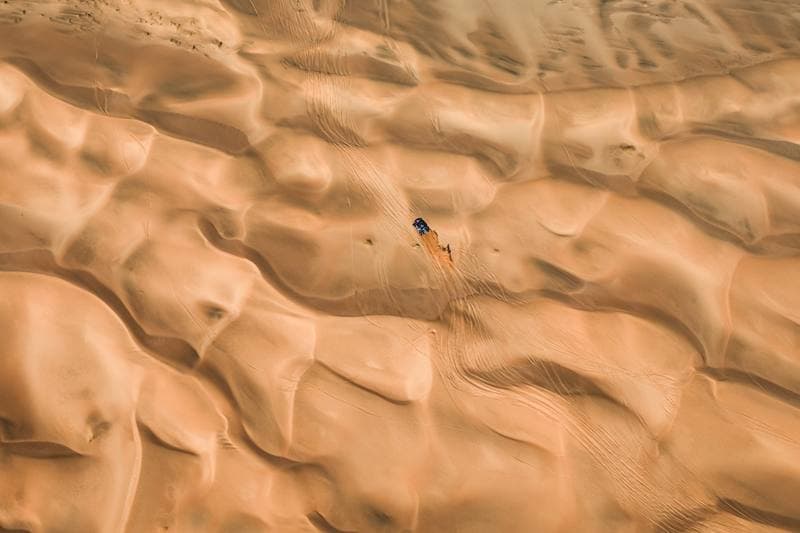 Motorsport. Dakar Rally. Stage 7. 11.01.2026