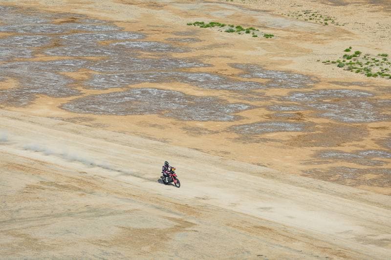 Motorsport. Dakar Rally. Stage 13. 17.01.2026