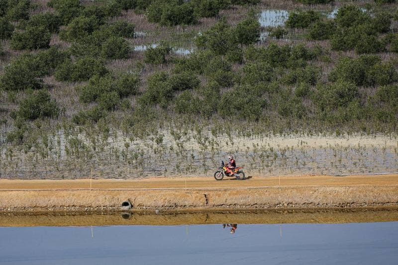 Motorsport. Dakar Rally. Stage 13. 17.01.2026