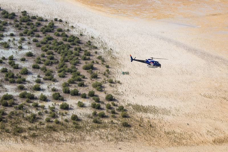 Motorsport. Dakar Rally. Stage 13. 17.01.2026
