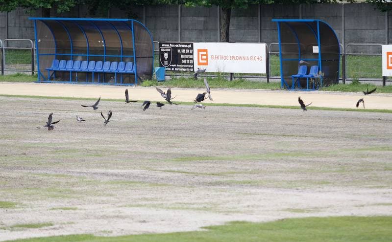 Football. AKS Wyzwojenie Chorzow. Training. 16.07.2014