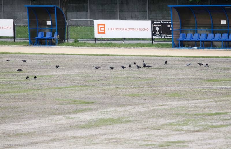 Football. AKS Wyzwojenie Chorzow. Training. 16.07.2014