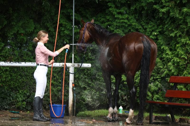 Equestrian. Polish Amateur Equestrian Championships. Day 1. 08.08.2025
