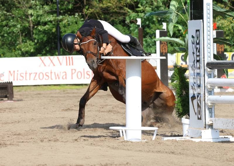 Equestrian. XXVIII Polish Amateur Equestrian Championships. Day 1. 10.08.2025