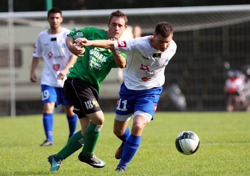 Football. Sparing. Ruch Chorzow - Rozwoj Katowice. 23.07.2010