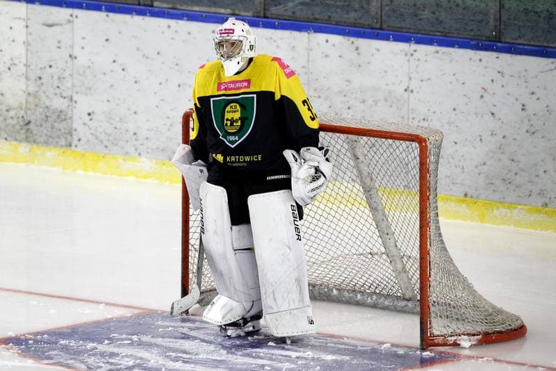 Ice Hockey. Polska Hokej Liga. Zaglebie Sosnowiec - Tauron KH GKS Katowice. 23.11.2018