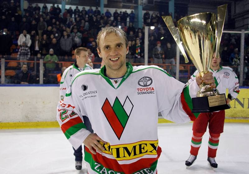 Ice Hockey. I Liga. Zaglebie Sosnowiec - Nesta Torun. 22.03.2015