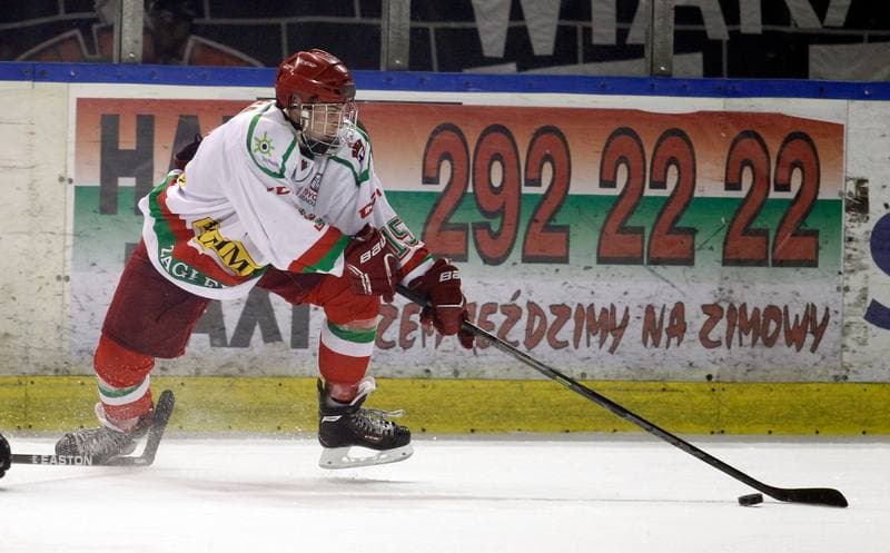 Ice Hockey. I Liga. Zaglebie Sosnowiec - Nesta Torun. 22.03.2015