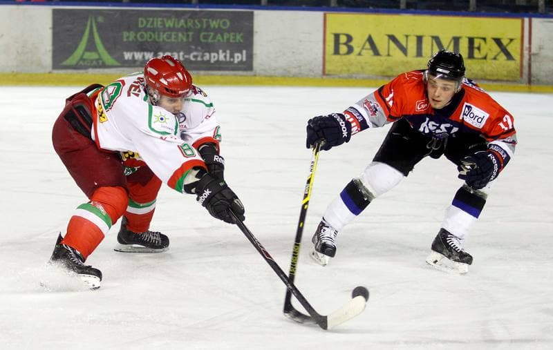 Ice Hockey. I Liga. Zaglebie Sosnowiec - Nesta Torun. 22.03.2015