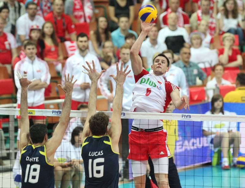 Volleyball. World League. Poland - Brazil. 29.06.2011