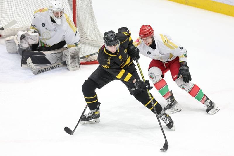 Ice Hockey. Tauron Hokej Liga. Zaglebie Sosnowiec - GKS Katowice. 06.03.2024