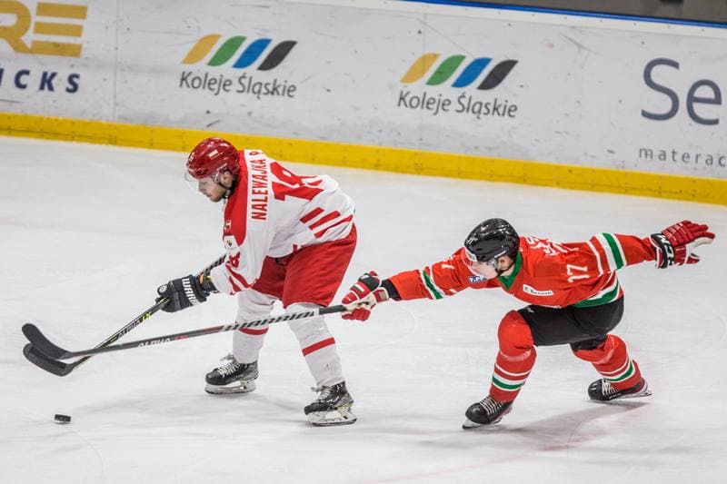 Ice Hockey. EIHC Christmas Cup. Poland - Hungary. 17.12.2021