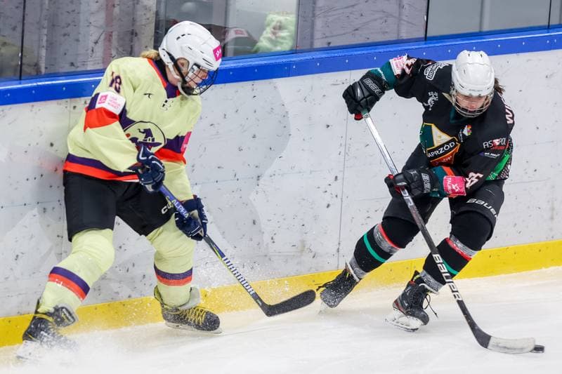 Ice Hockey. Tauron Liga Kobiet. Wiedzmy 71 Wroclaw - Kojotki Naprzod Janow. 03.12.2023