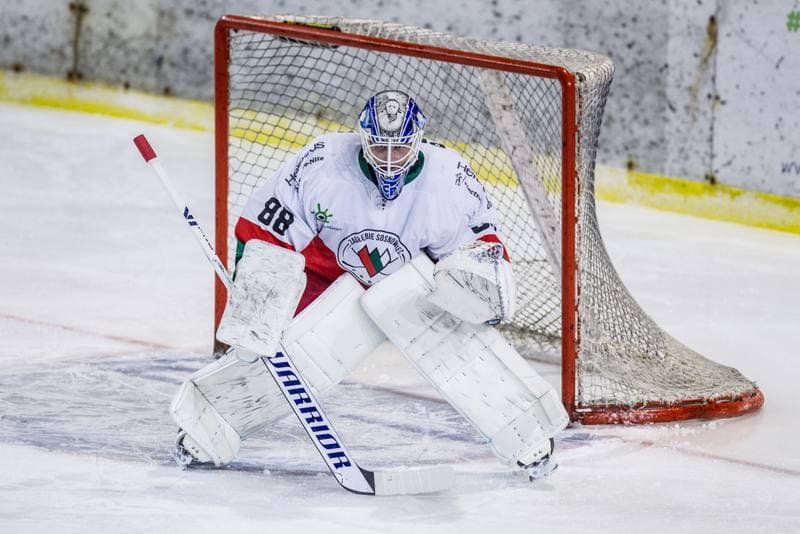Ice Hockey. PHL. Zaglebie Sosnowiec - GKS Tychy. 15.11.2020