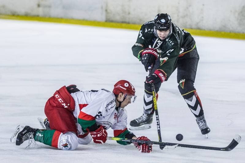 Ice Hockey. PHL. Zaglebie Sosnowiec - GKS Tychy. 15.11.2020