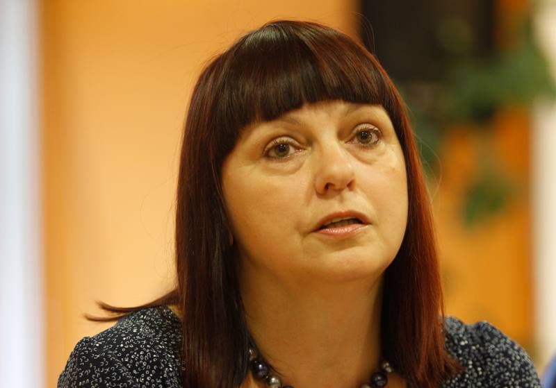 Beata Chwalba. Expert Debate on Dopalacze. 15.07.2015