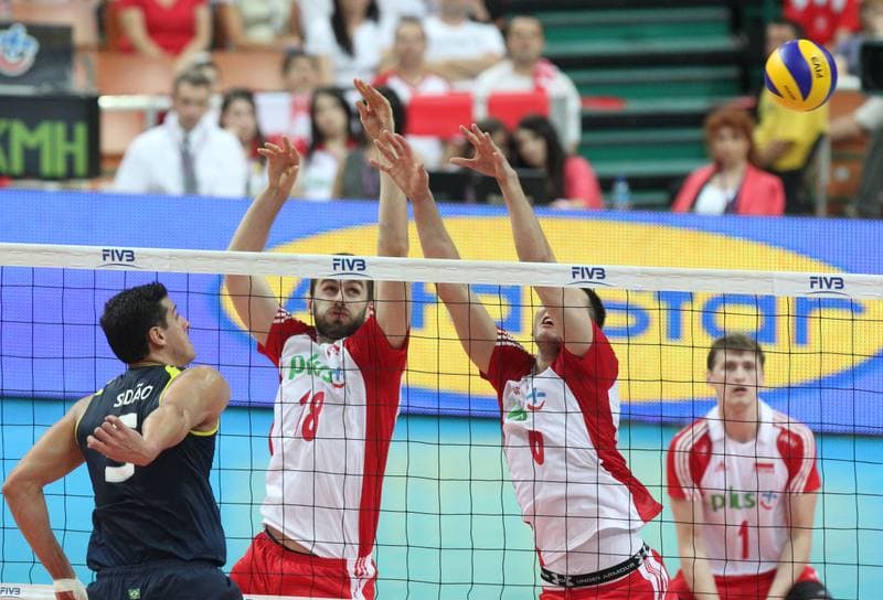 Volleyball. World League. Poland - Brazil. 29.06.2011