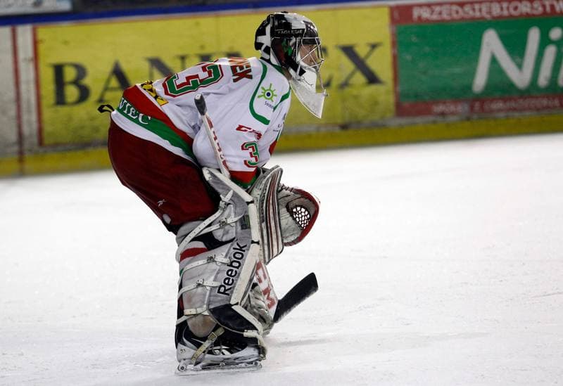 Ice Hockey. I Liga. Zaglebie Sosnowiec - Nesta Torun. 22.03.2015