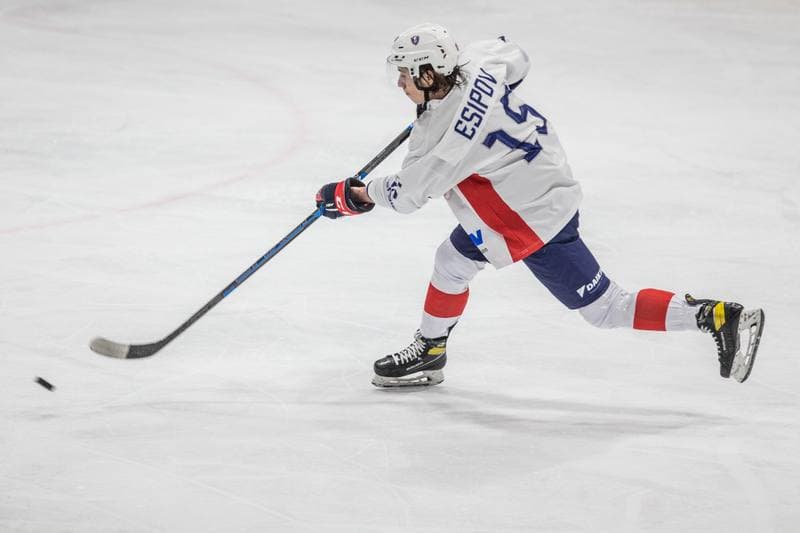 Ice Hockey. EIHC Christmas Cup. France - Ukraine. 17.12.2021