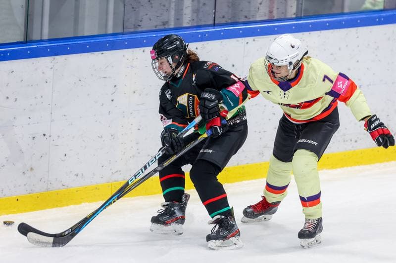 Ice Hockey. Tauron Liga Kobiet. Wiedzmy 71 Wroclaw - Kojotki Naprzod Janow. 03.12.2023