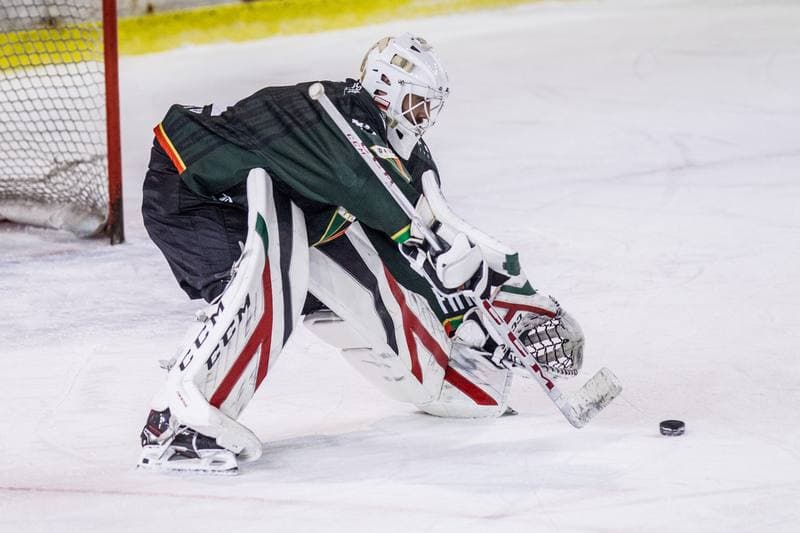 Ice Hockey. Polska Hokej Liga. Zaglebie Sosnowiec - GKS Tychy. 15.11.2020