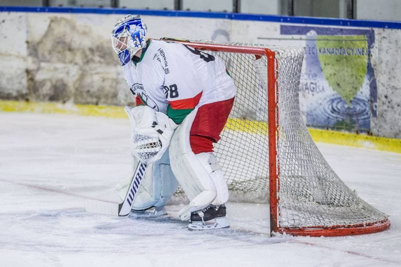 Ice Hockey. Polska Hokej Liga. Zaglebie Sosnowiec - GKS Tychy. 15.11.2020