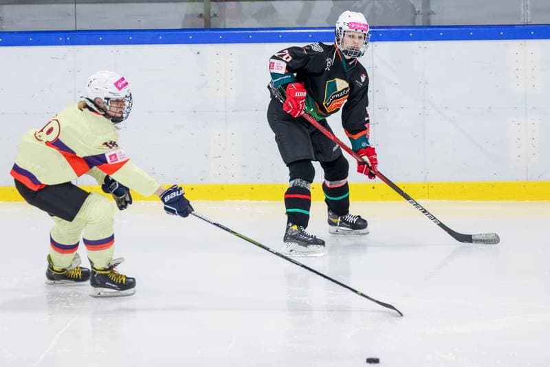 Ice Hockey. Tauron Liga Kobiet. Wiedzmy 71 Wroclaw - Kojotki Naprzod Janow. 03.12.2023