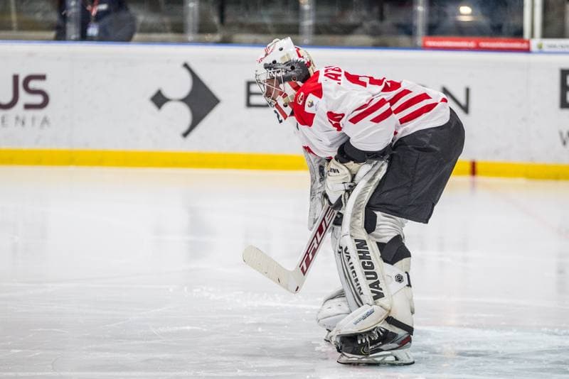 Ice Hockey. EIHC Christmas Cup. Poland - France. 16.12.2021