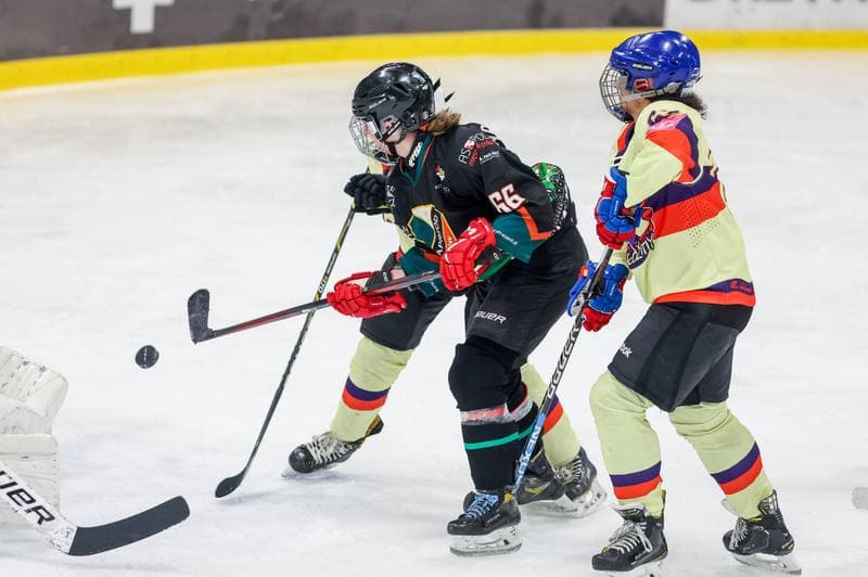 Ice Hockey. Tauron Liga Kobiet. Wiedzmy 71 Wroclaw - Kojotki Naprzod Janow. 03.12.2023
