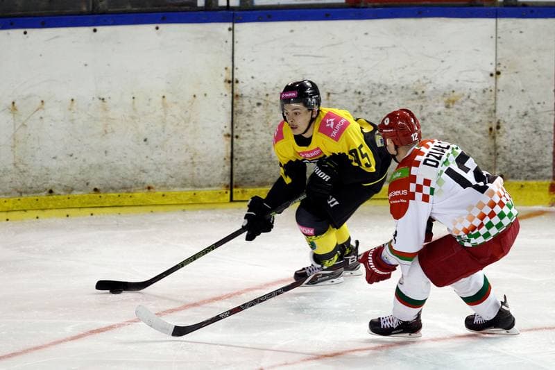 Ice Hockey. Polska Hokej Liga. Zaglebie Sosnowiec - Tauron KH GKS Katowice. 23.11.2018
