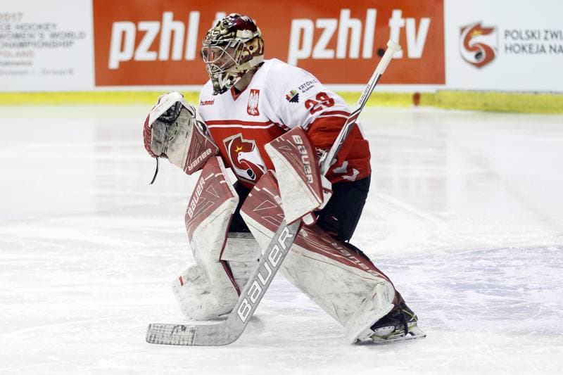 Ice Hockey. International Friendly Match. Poland - Slovakia B. 07.04.2017