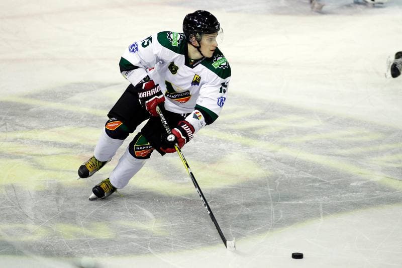 Ice Hockey. Polska Hokej Liga. Naprzod Janow - JKH GKS Jastrzebie. 17.09.2017