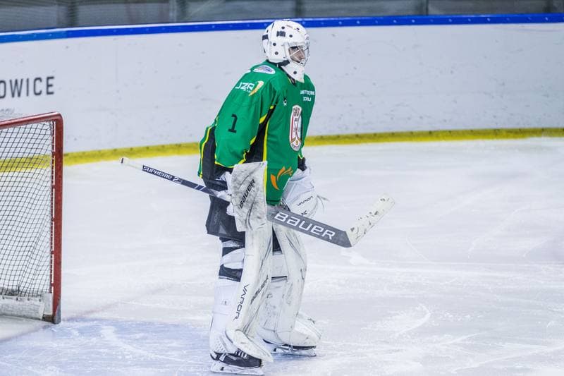 Ice Hockey. PHL. Naprzod Janow - JKH GKS Jastrzebie. 17.01.2020