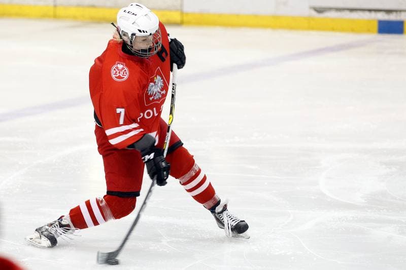 Ice Hockey. Women's Friendly Match. Poland - Ontario. 04.04.2017
