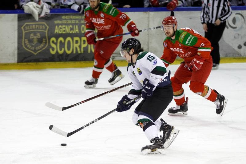Ice Hockey. Polska Hokej Liga. Naprzod Janow - Zaglebie Sosnowiec. 23.02.2019