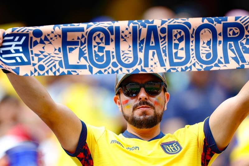 Football. FIFA World Cup 2026. Ecuador - Germany. 25.06.2026