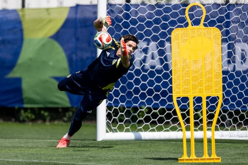 Football. FIFA World Cup 2026. Sweden. Training. 29.06.2026