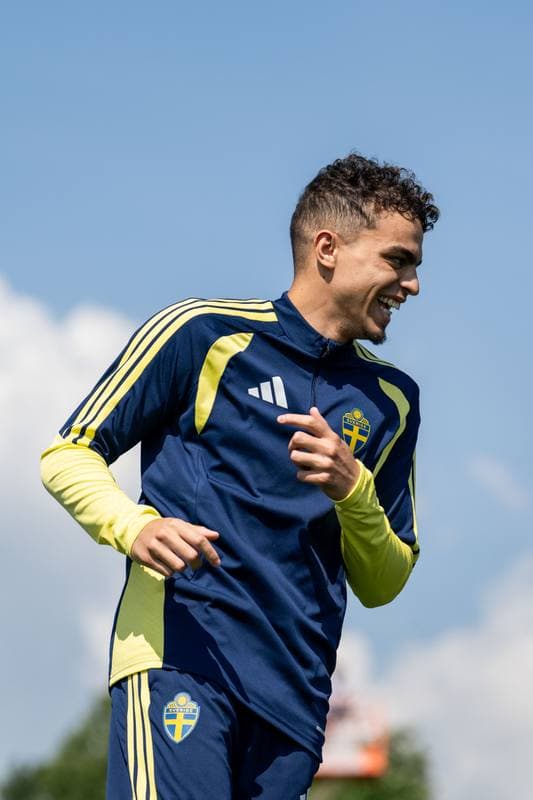Football. FIFA World Cup 2026. Sweden. Training. 29.06.2026