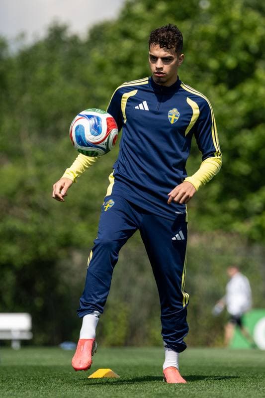 Football. FIFA World Cup 2026. Sweden. Training. 29.06.2026